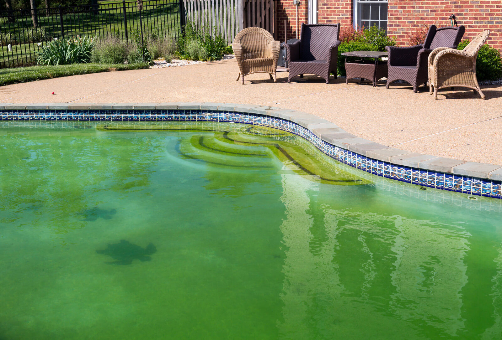 Agua verde piscina solucion